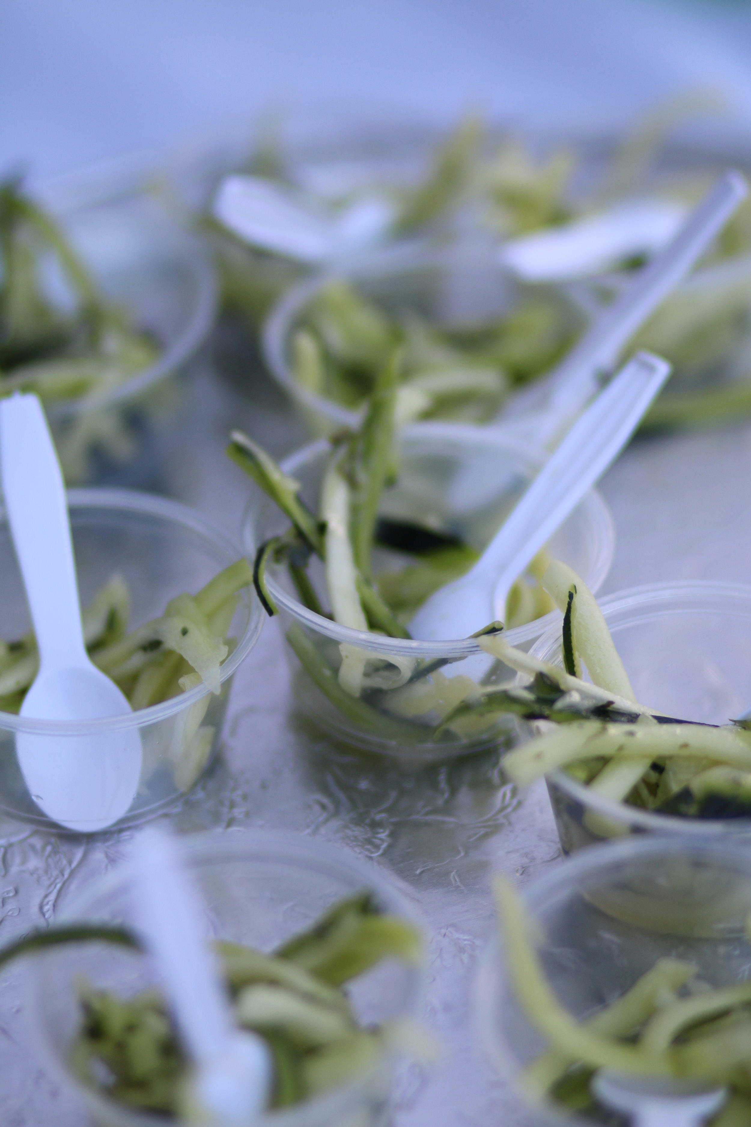 35722731016_29b73c0d81_o (1).jpg