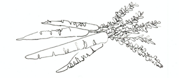 Screen Shot 2018-03-26 at 8.31.34 AM.png