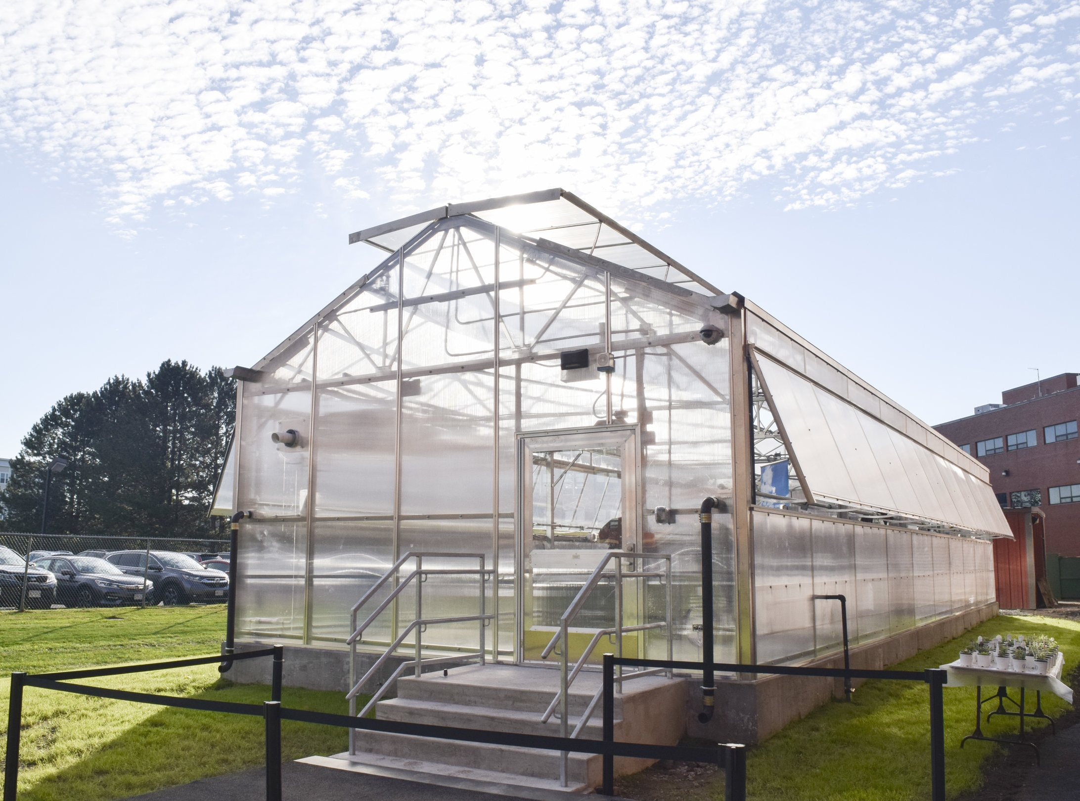 New Lynn Greenhouse