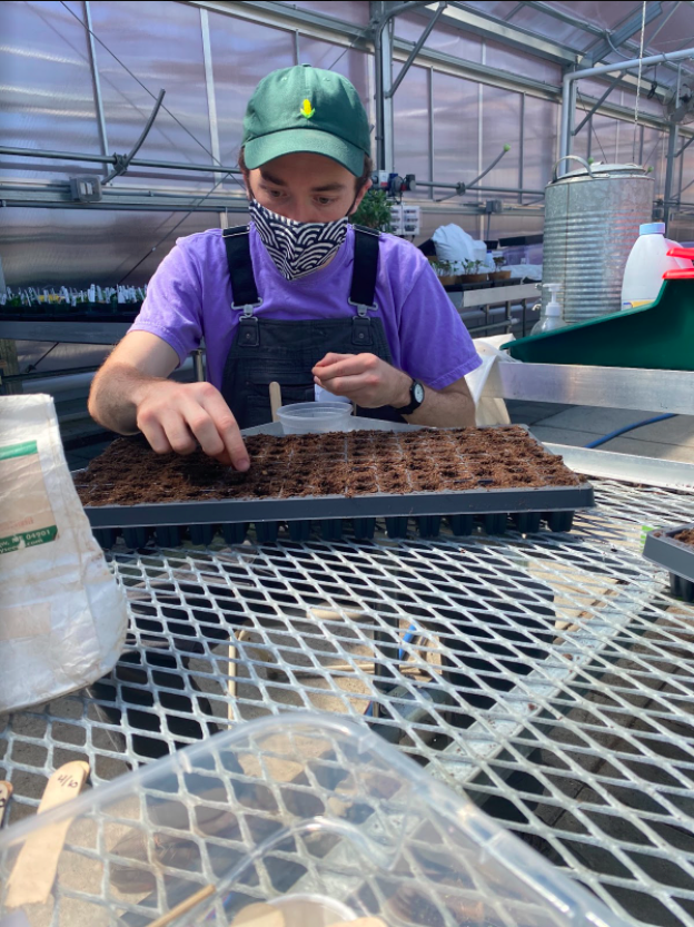 2021 Lynn Seedling Sale